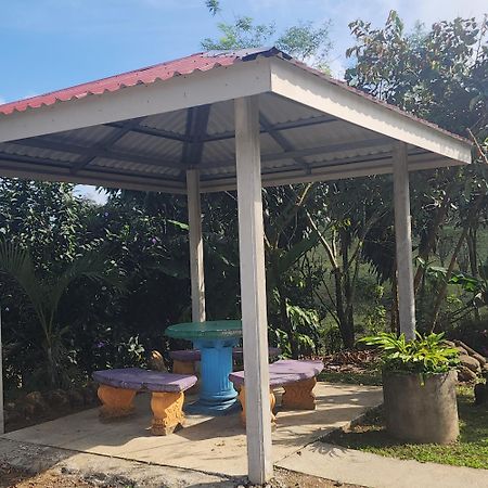 Cabinas El Pilon Rio Celeste المظهر الخارجي الصورة