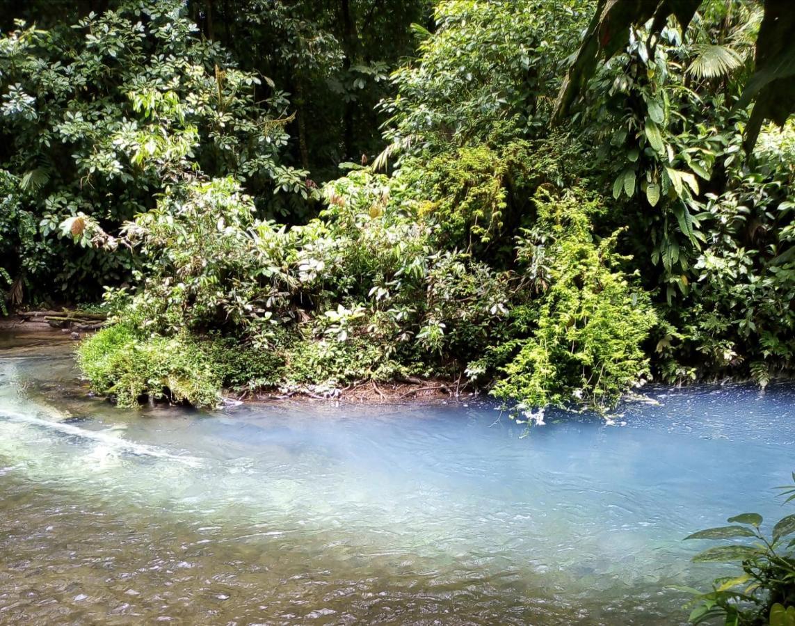 Cabinas El Pilon Rio Celeste المظهر الخارجي الصورة