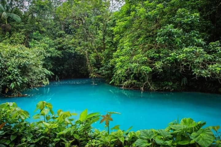 Cabinas El Pilon Rio Celeste المظهر الخارجي الصورة