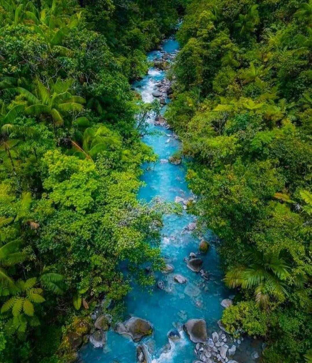 Cabinas El Pilon Rio Celeste المظهر الخارجي الصورة