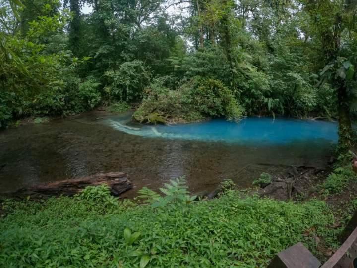 Cabinas El Pilon Rio Celeste المظهر الخارجي الصورة